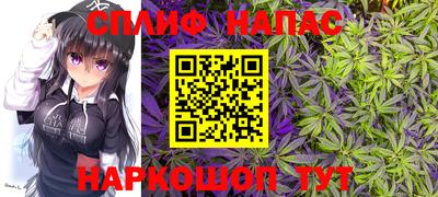 стаф Добрянка