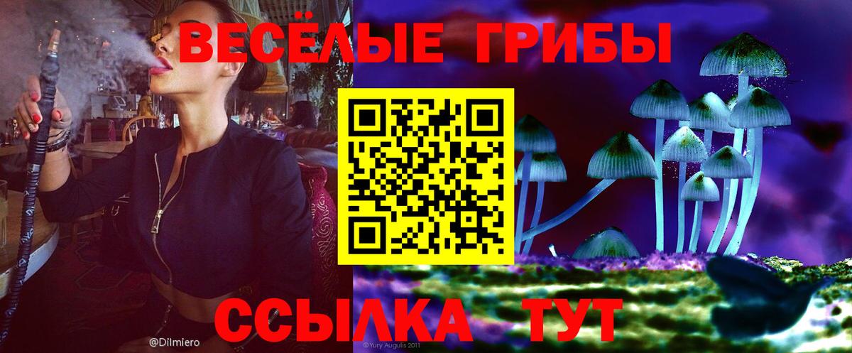 Галлюциногенные грибы Psilocybine cubensis  Галлюциногенные грибы Cubensis  Вход с VPN  Зима 